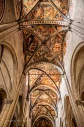 arezzo  santi pietro e donato